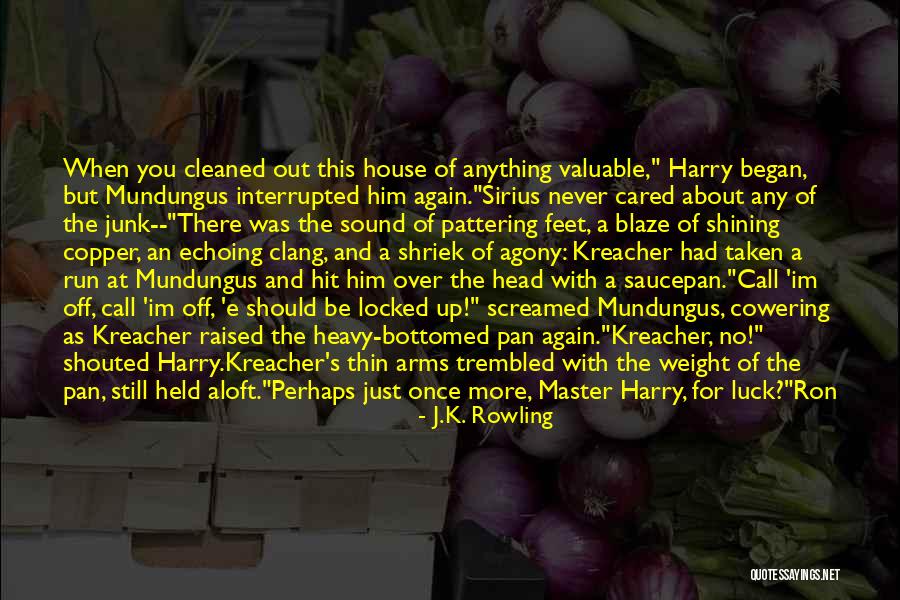 Mundungus From Harry Quotes By J.K. Rowling Mundungus From Harry Quotes By J.K. Rowling