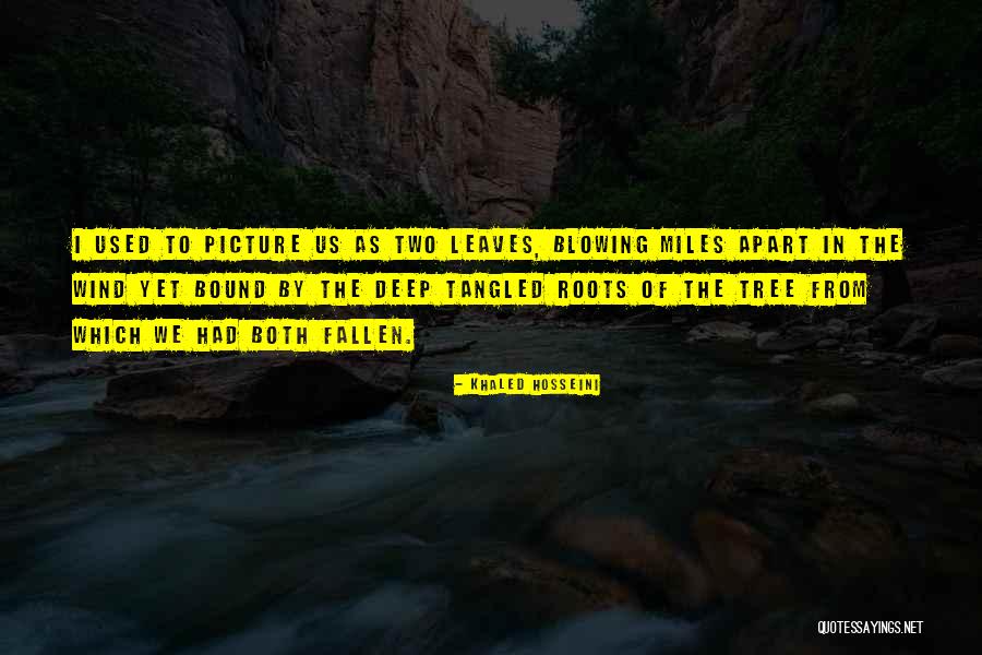 Muneeb Khan Quotes By Khaled Hosseini Muneeb Khan Quotes By Khaled Hosseini