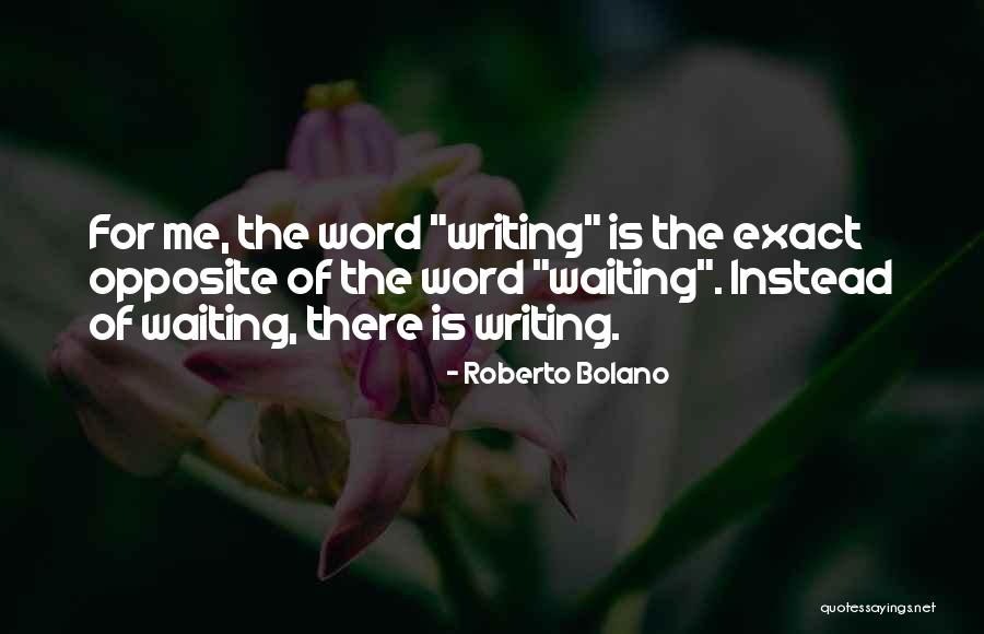 Mungle Dictionary Quotes By Roberto Bolano Mungle Dictionary Quotes By Roberto Bolano