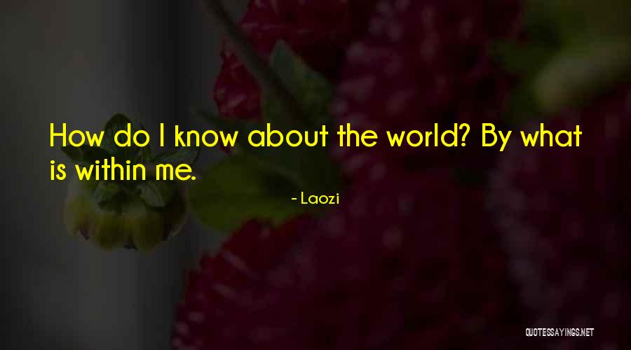 Mungosi Quotes By Laozi Mungosi Quotes By Laozi