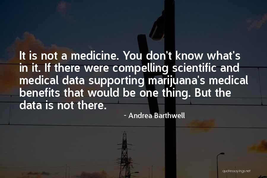 Municipalidad De Santiago Quotes By Andrea Barthwell Municipalidad De Santiago Quotes By Andrea Barthwell