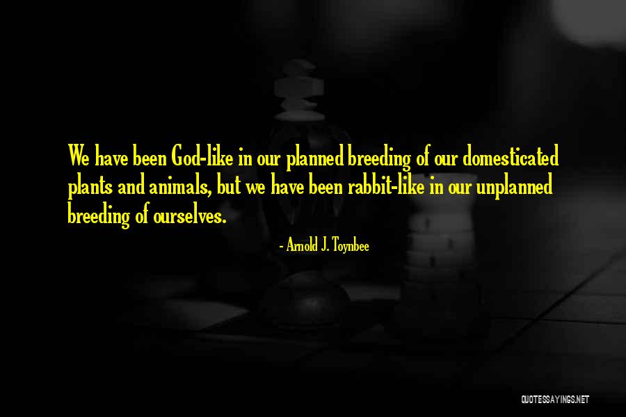 Munition Codes Quotes By Arnold J. Toynbee Munition Codes Quotes By Arnold J. Toynbee