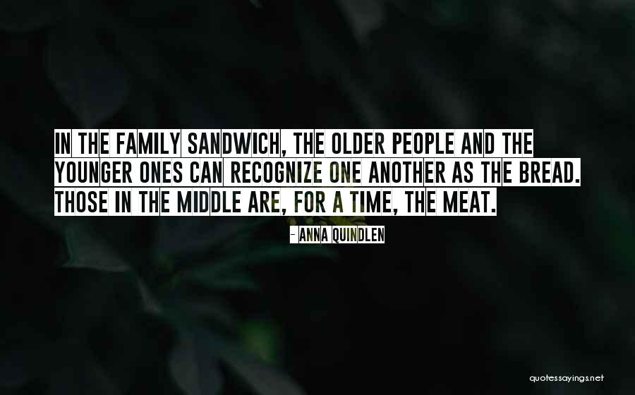 Munna Circuit Quotes By Anna Quindlen Munna Circuit Quotes By Anna Quindlen