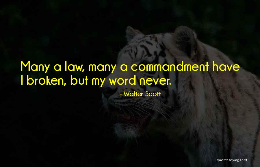 Munschauer Buffalo Quotes By Walter Scott