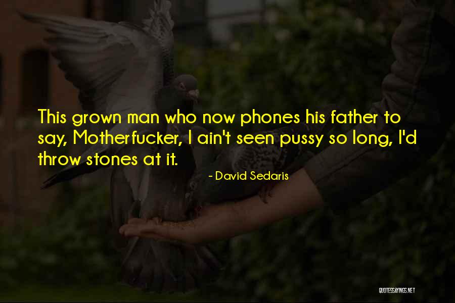 Muntada Al Ansar Quotes By David Sedaris Muntada Al Ansar Quotes By David Sedaris