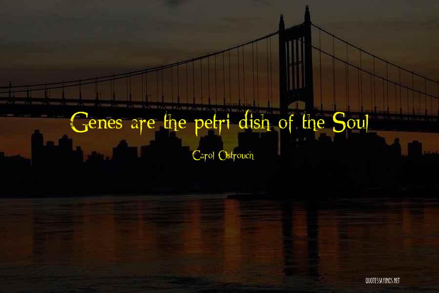 Muntanyola Cheese Quotes By Carol Ostrouch