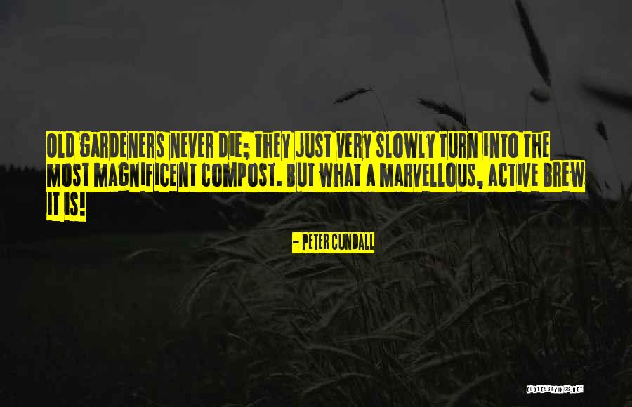Munzer Auditorium Quotes By Peter Cundall Munzer Auditorium Quotes By Peter Cundall