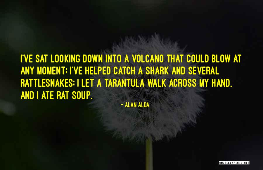 Muorinkukka Quotes By Alan Alda Muorinkukka Quotes By Alan Alda