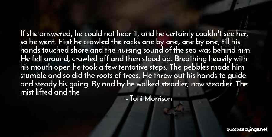 Muradov Mma Quotes By Toni Morrison Muradov Mma Quotes By Toni Morrison