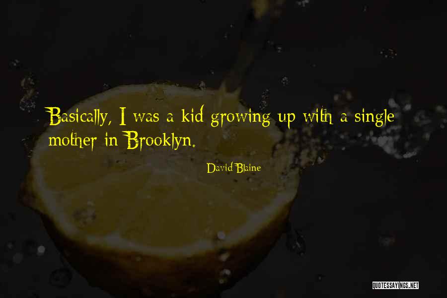 Muralidhar Rao Quotes By David Blaine Muralidhar Rao Quotes By David Blaine