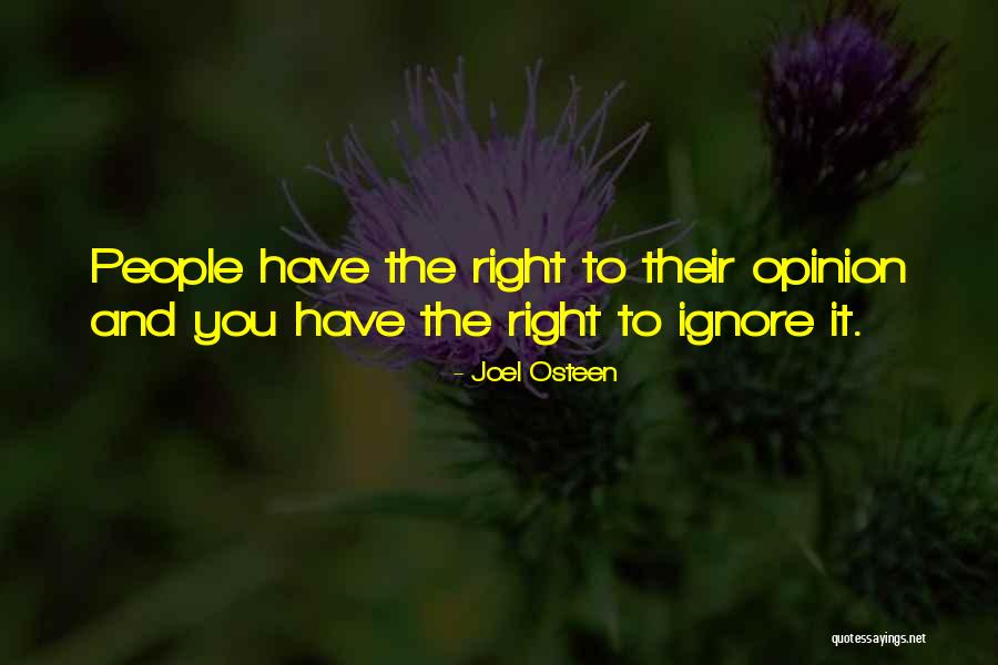Murallas Romanas Quotes By Joel Osteen Murallas Romanas Quotes By Joel Osteen