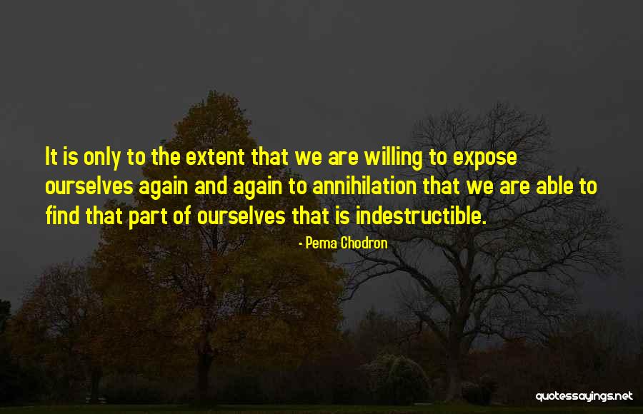 Murasakibara And Himuro Quotes By Pema Chodron Murasakibara And Himuro Quotes By Pema Chodron