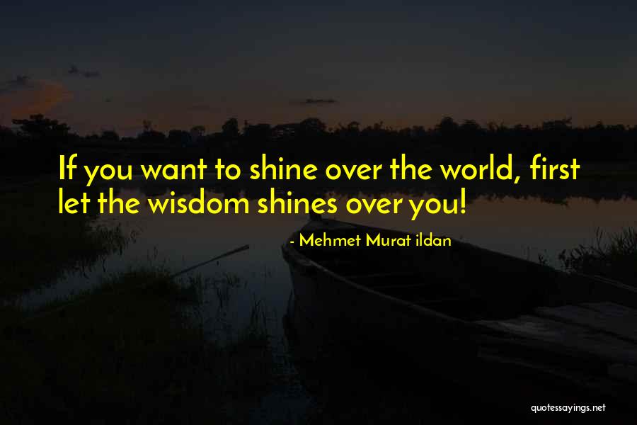 Murat Ildan Quotes By Mehmet Murat Ildan