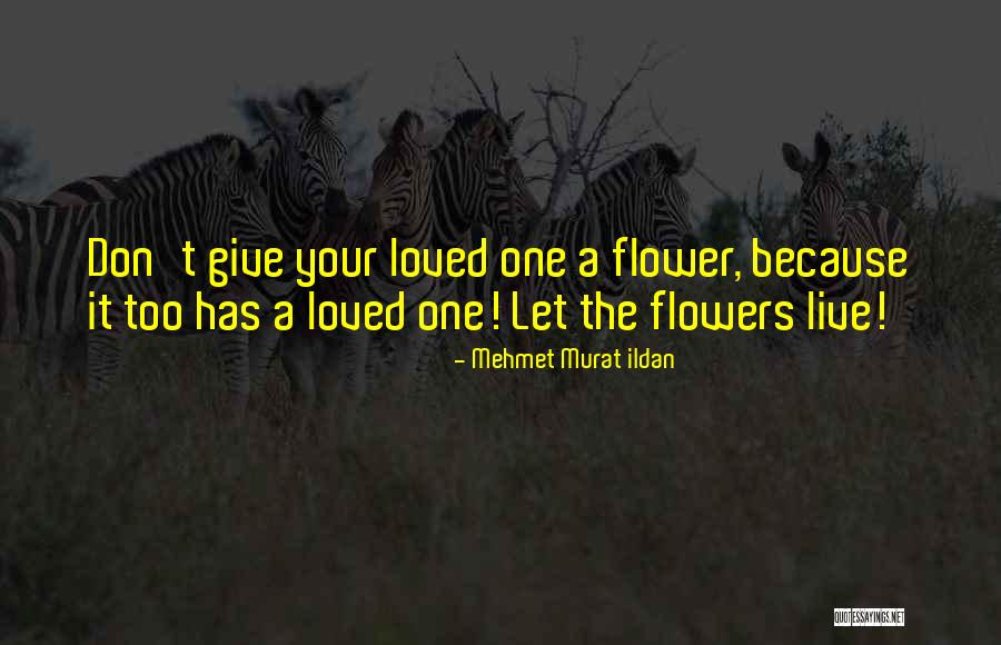 Murat Ildan Quotes By Mehmet Murat Ildan Murat Ildan Quotes By Mehmet Murat Ildan