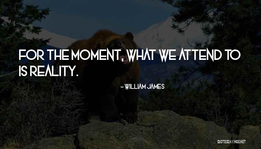 Murat Ildan S C3 B6zleri Quotes By William James Murat Ildan S C3 B6zleri Quotes By William James