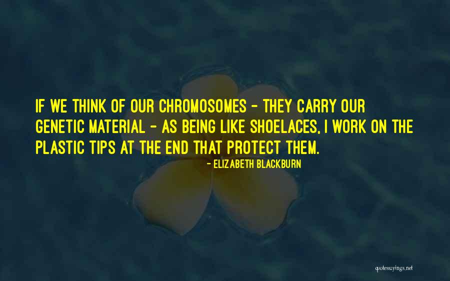 Murderbot Book Quotes By Elizabeth Blackburn Murderbot Book Quotes By Elizabeth Blackburn