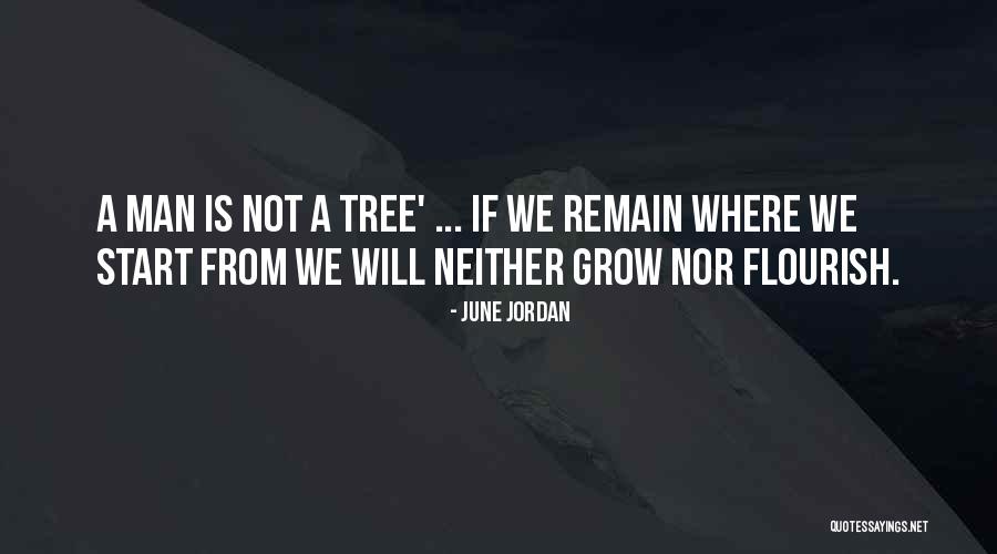 Murdstone Dr Quotes By June Jordan Murdstone Dr Quotes By June Jordan