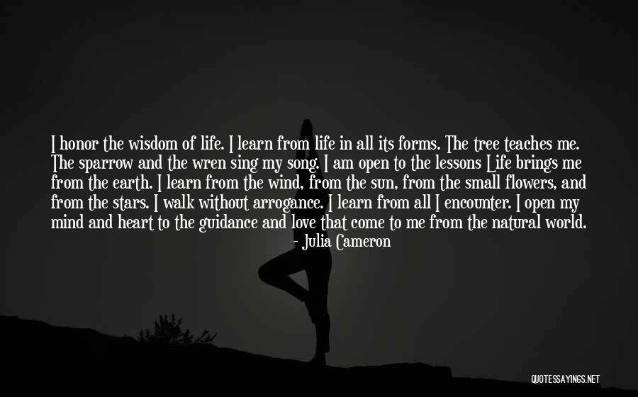 Mure Nutrition Quotes By Julia Cameron
