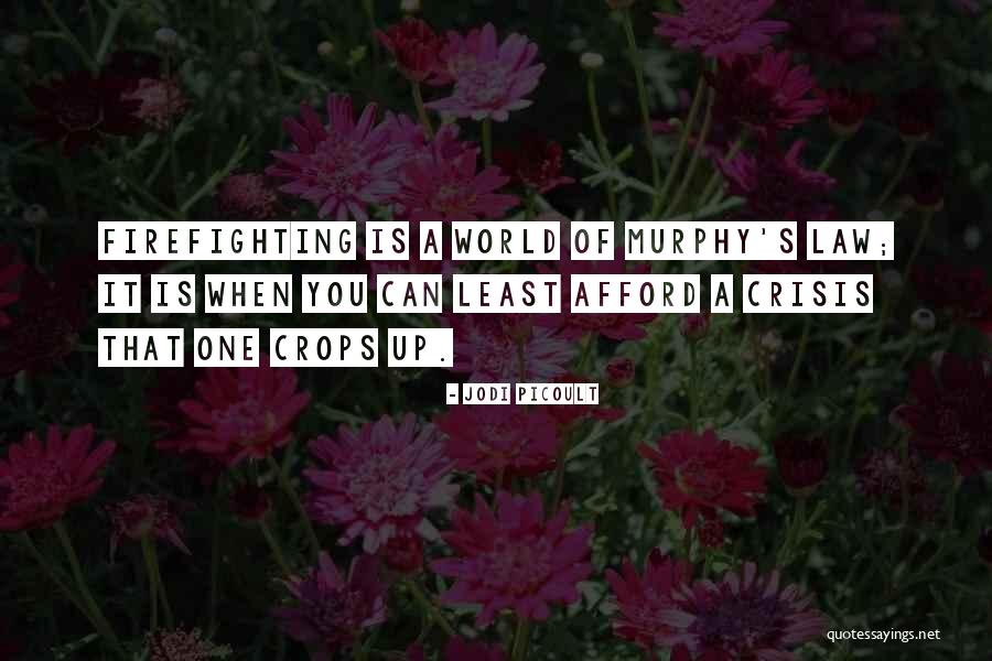 Murfin Animal Care Quotes By Jodi Picoult Murfin Animal Care Quotes By Jodi Picoult