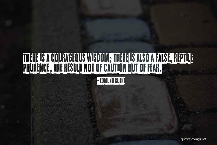 Murkoff Psychiatric Systems Quotes By Edmund Burke Murkoff Psychiatric Systems Quotes By Edmund Burke
