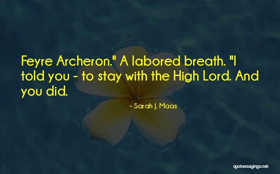 Murky Pool Quotes By Sarah J. Maas Murky Pool Quotes By Sarah J. Maas
