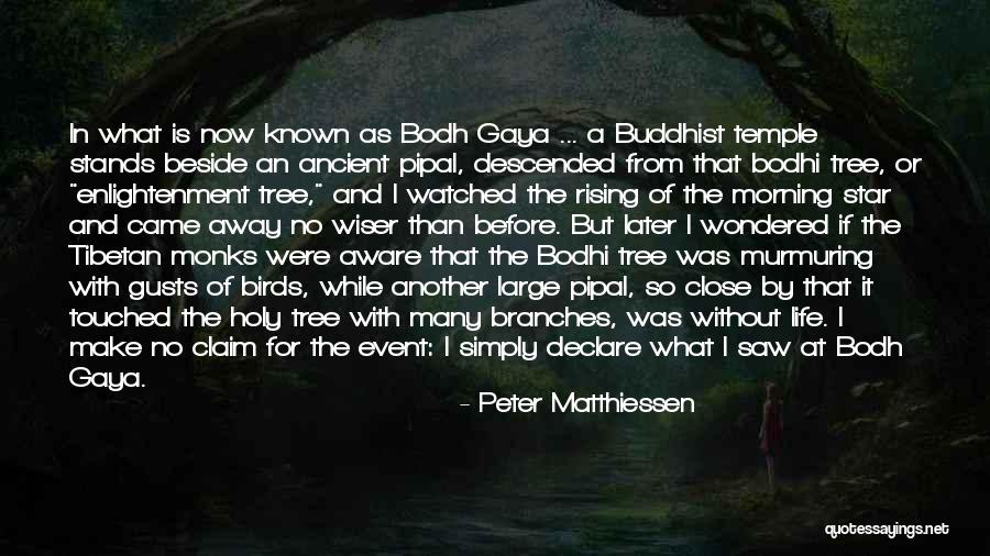 Murmuring Quotes By Peter Matthiessen