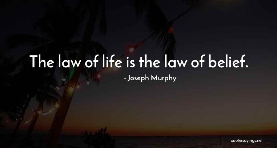 Murphy's Law All Quotes By Joseph Murphy