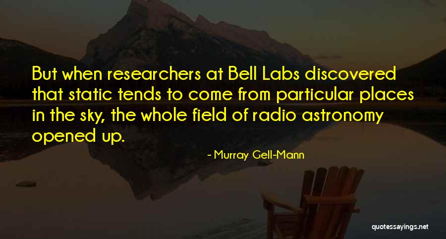 Murray Gell-Mann Quotes 985780