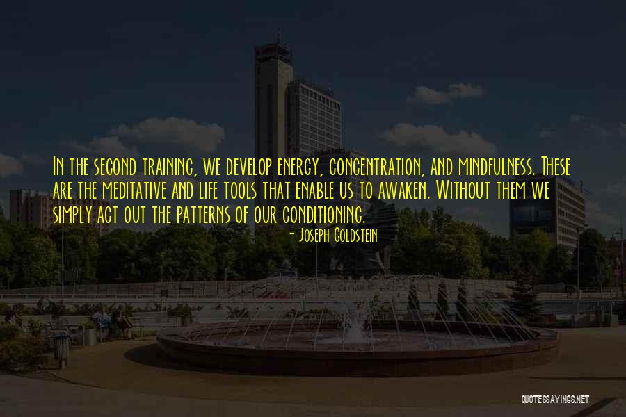 Murshidi Attar Quotes By Joseph Goldstein Murshidi Attar Quotes By Joseph Goldstein