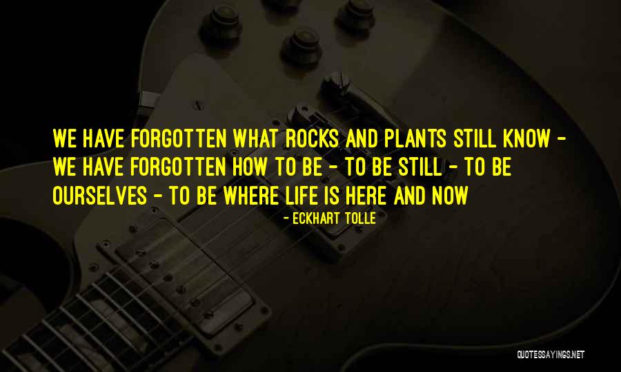 Murski Bed Quotes By Eckhart Tolle Murski Bed Quotes By Eckhart Tolle