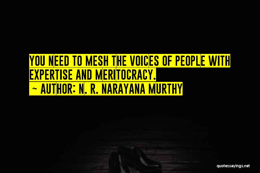Murthy Quotes By N. R. Narayana Murthy