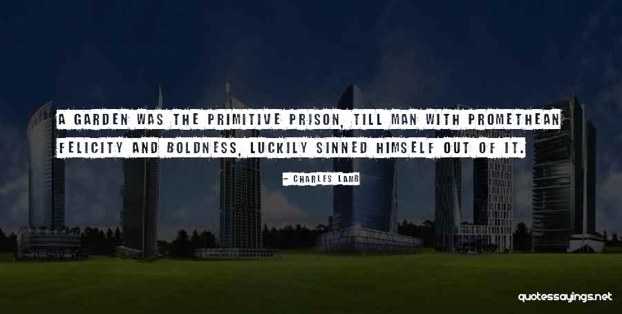 Murtuza Bahrainwala Quotes By Charles Lamb Murtuza Bahrainwala Quotes By Charles Lamb