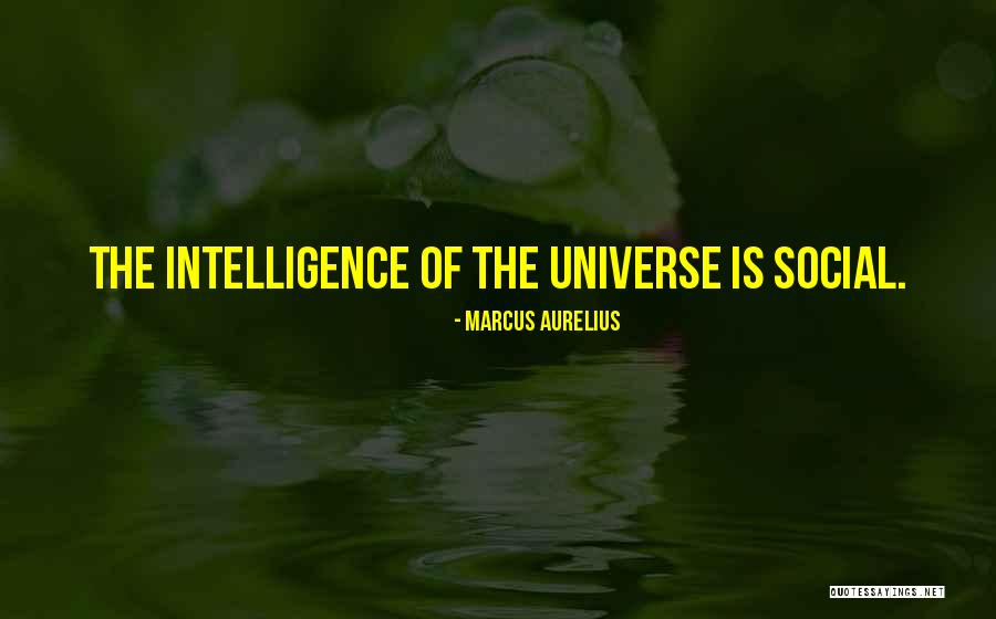 Murugesu Associates Quotes By Marcus Aurelius Murugesu Associates Quotes By Marcus Aurelius