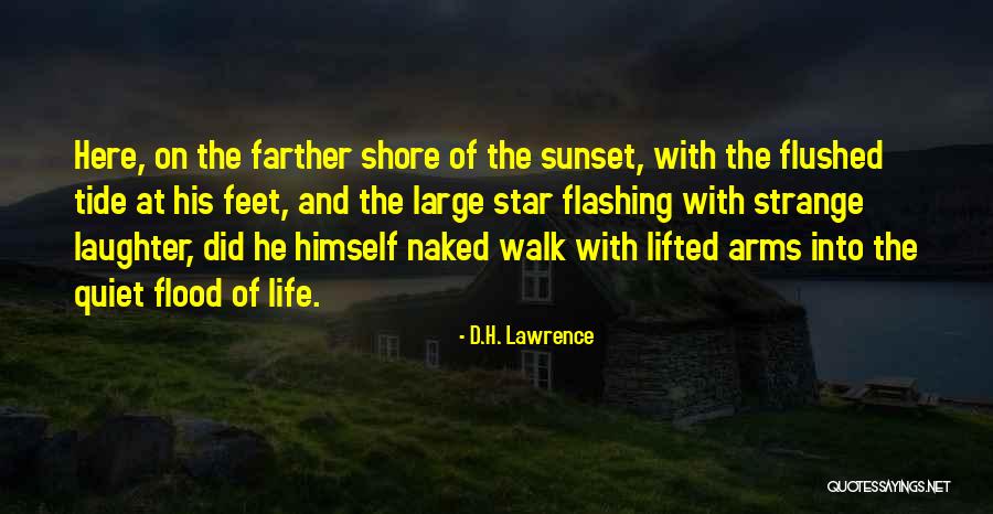 Murvaul Texas Quotes By D.H. Lawrence Murvaul Texas Quotes By D.H. Lawrence