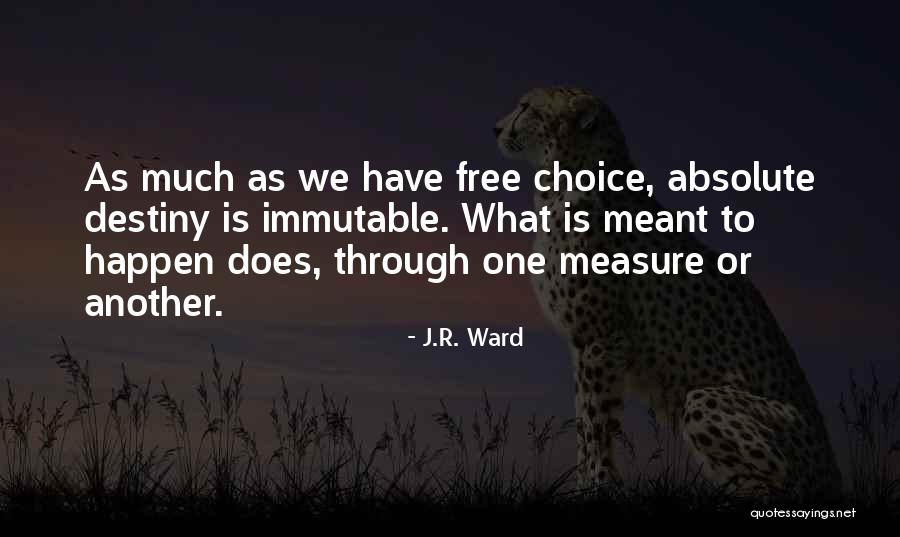 Muscanell Flooring Quotes By J.R. Ward Muscanell Flooring Quotes By J.R. Ward
