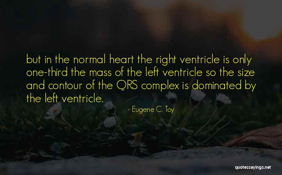 Muscas Infantis Quotes By Eugene C. Toy Muscas Infantis Quotes By Eugene C. Toy