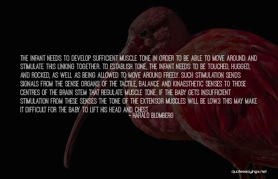 Muscle Head Quotes By Harald Blomberg