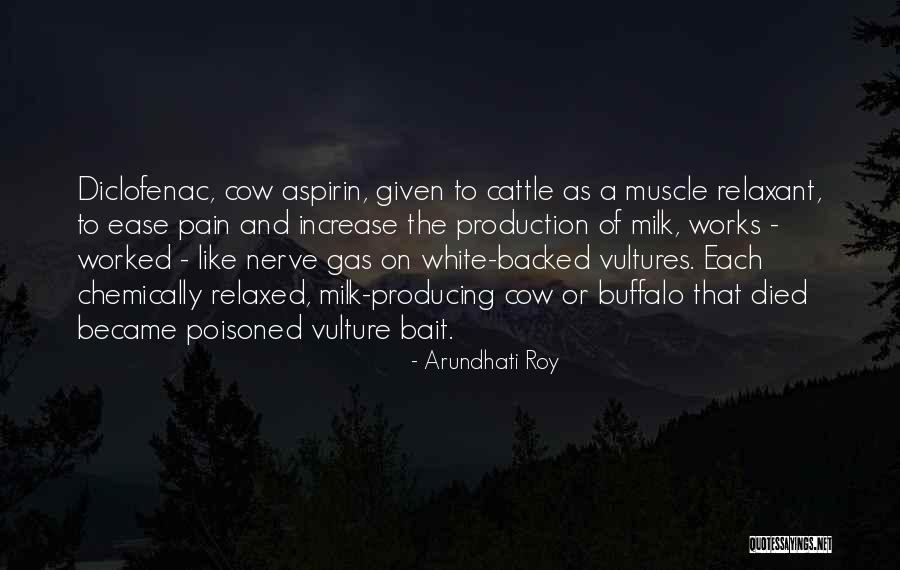 Muscle Pain Quotes By Arundhati Roy Muscle Pain Quotes By Arundhati Roy