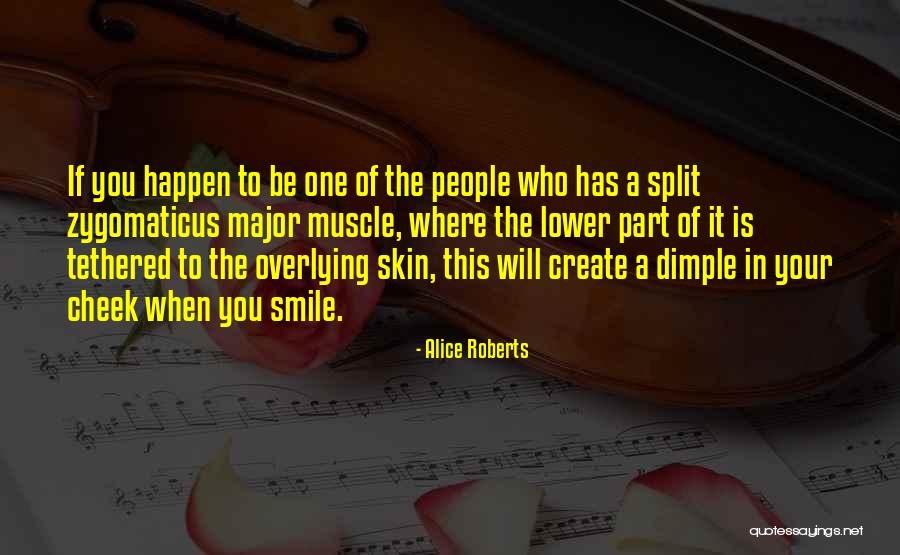 Muscle To Quotes By Alice Roberts Muscle To Quotes By Alice Roberts