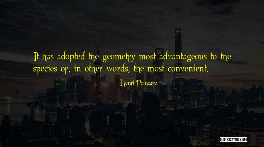 Musclemen Antonyms Quotes By Henri Poincare Musclemen Antonyms Quotes By Henri Poincare