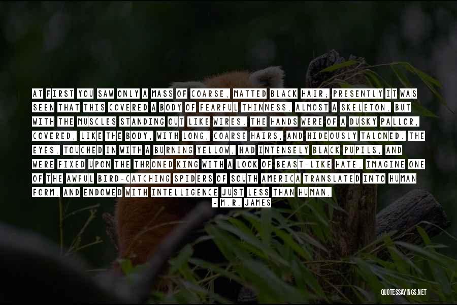 Muscles Quotes By M.R. James Muscles Quotes By M.R. James