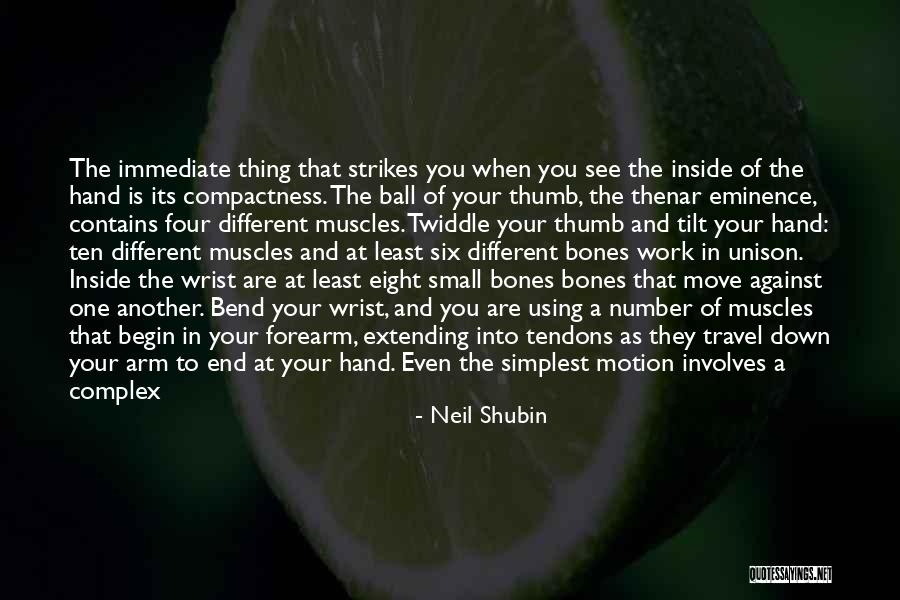 Muscles The Arm Quotes By Neil Shubin Muscles The Arm Quotes By Neil Shubin