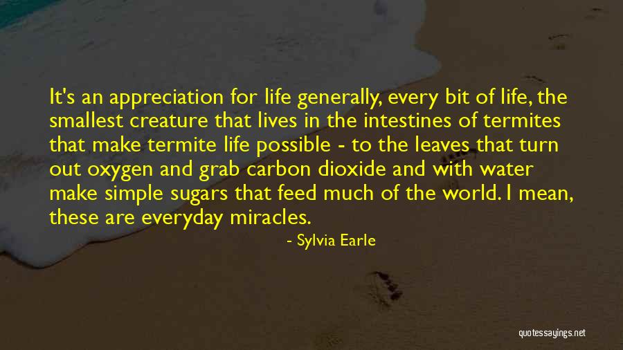 Musculoskeletal Transplant Quotes By Sylvia Earle Musculoskeletal Transplant Quotes By Sylvia Earle