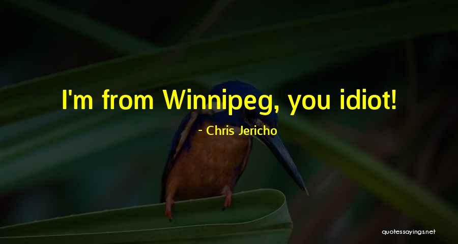 Muse And Blur Quotes By Chris Jericho