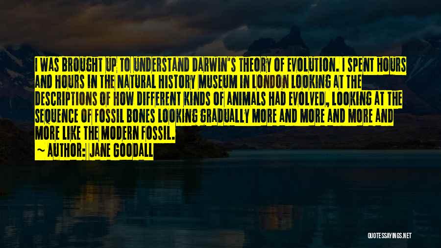 Museum Hours Quotes By Jane Goodall