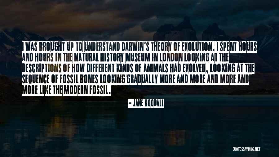 Museum Of Natural History Quotes By Jane Goodall