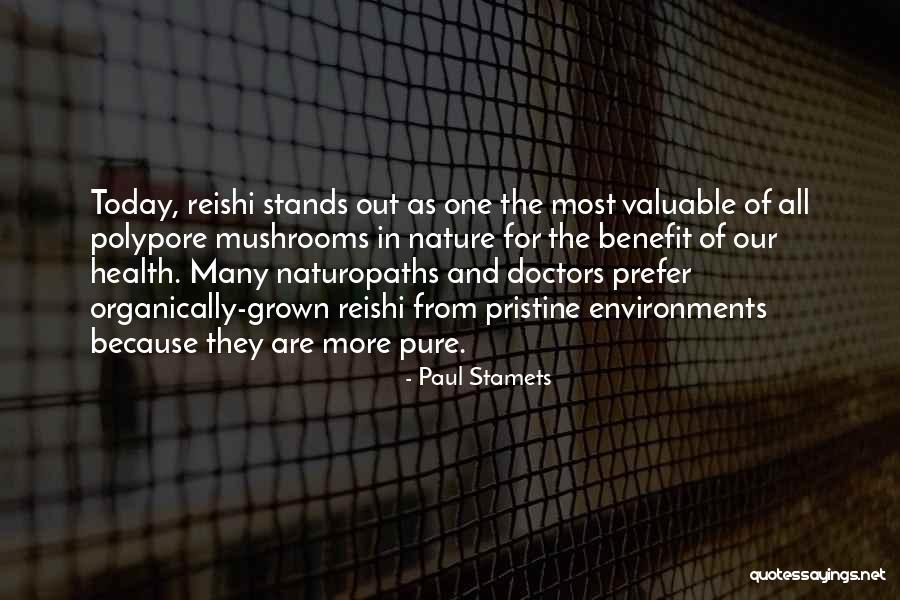 Mushrooms And Health Quotes By Paul Stamets Mushrooms And Health Quotes By Paul Stamets