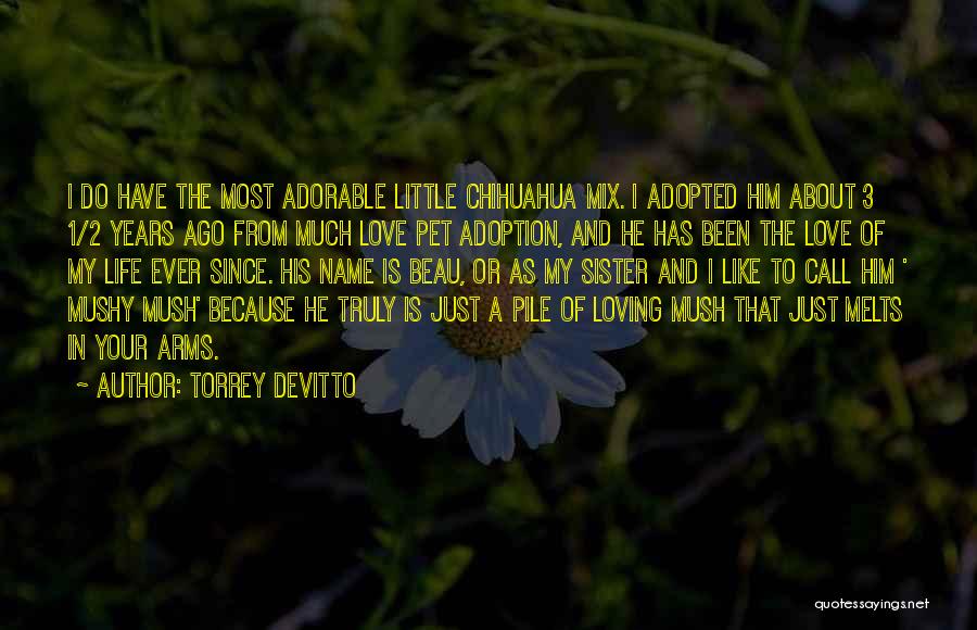Mushy Love Quotes By Torrey DeVitto