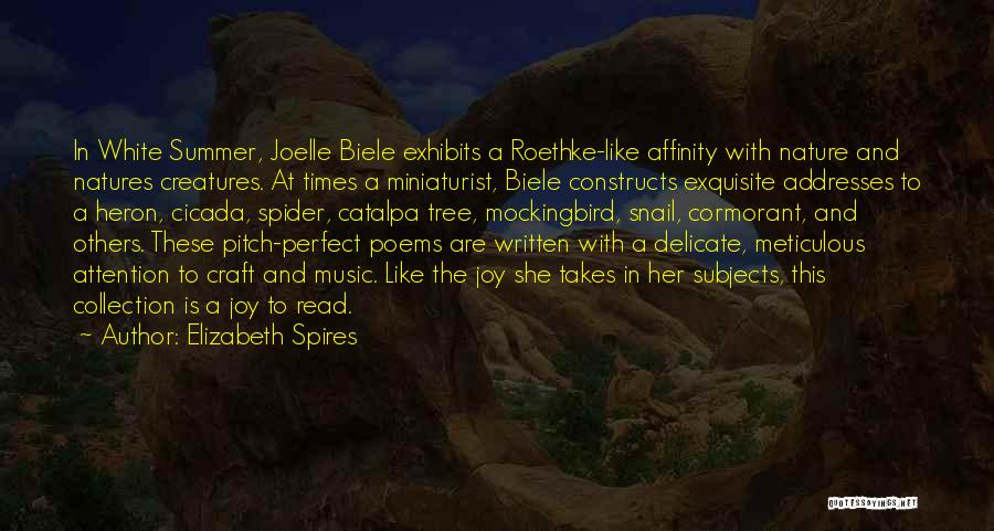 Music And Nature Quotes By Elizabeth Spires