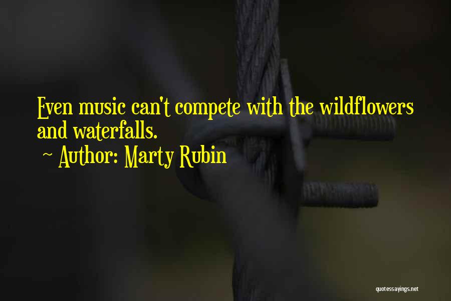 Music And Nature Quotes By Marty Rubin